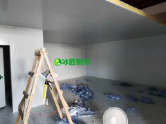 一備一用雙機(jī)醫(yī)藥冷庫(kù)